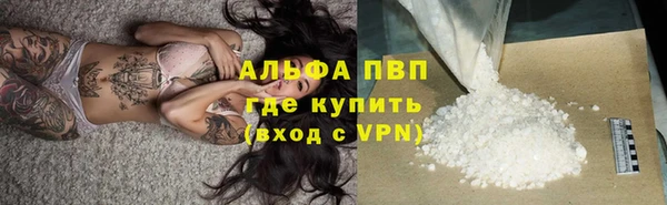 прущие грибы Армянск