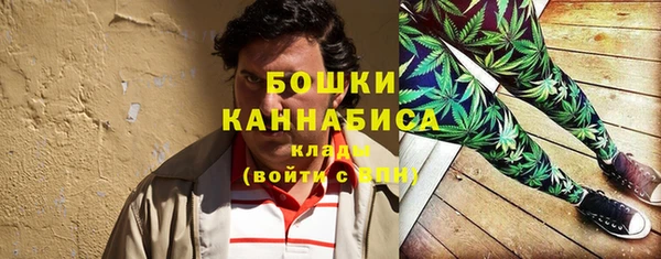 первитин Новозыбков
