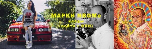 прущие грибы Армянск