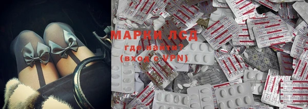 прущие грибы Армянск