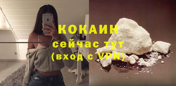 прущие грибы Армянск