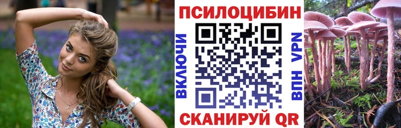 KRAKEN как зайти  где найти наркотики  Калуга  Галлюциногенные грибы Psilocybe 