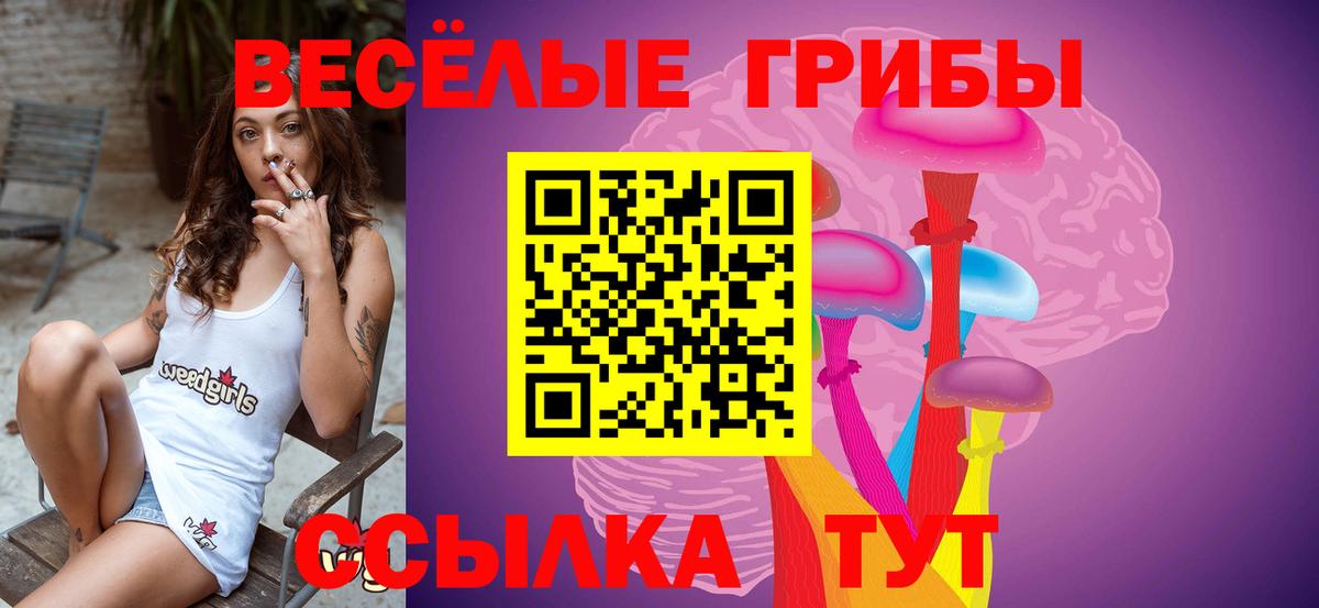 Псилоцибиновые грибы мицелий Калуга