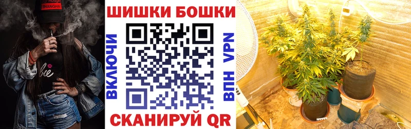 Марихуана семена продажа наркотиков Калуга